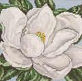 White Magnolia Canvas