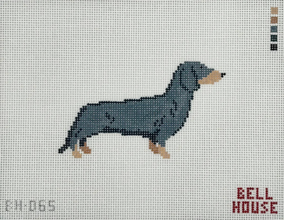 Dachshund (Black & Tan) Canvas