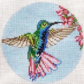 Black Throated Mango Hummingbird 4" Round Canvas