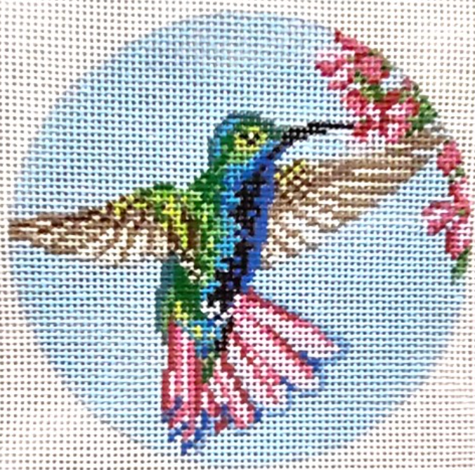Black Throated Mango Hummingbird 4" Round Canvas