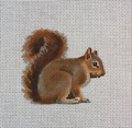 Squirrel Canvas
