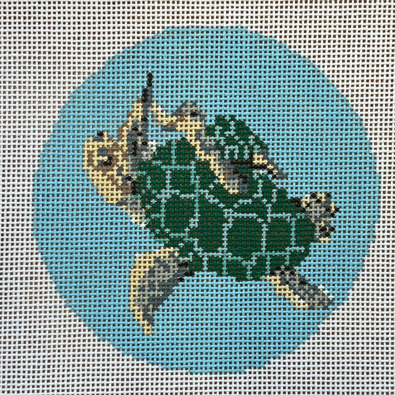 Sea Turtle and Baby Canvas