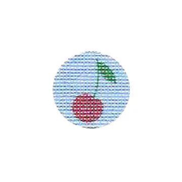Cherry Mini Canvas