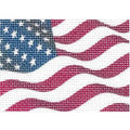 US Flag (Passport Insert) Canvas