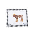 Texas Longhorn Canvas