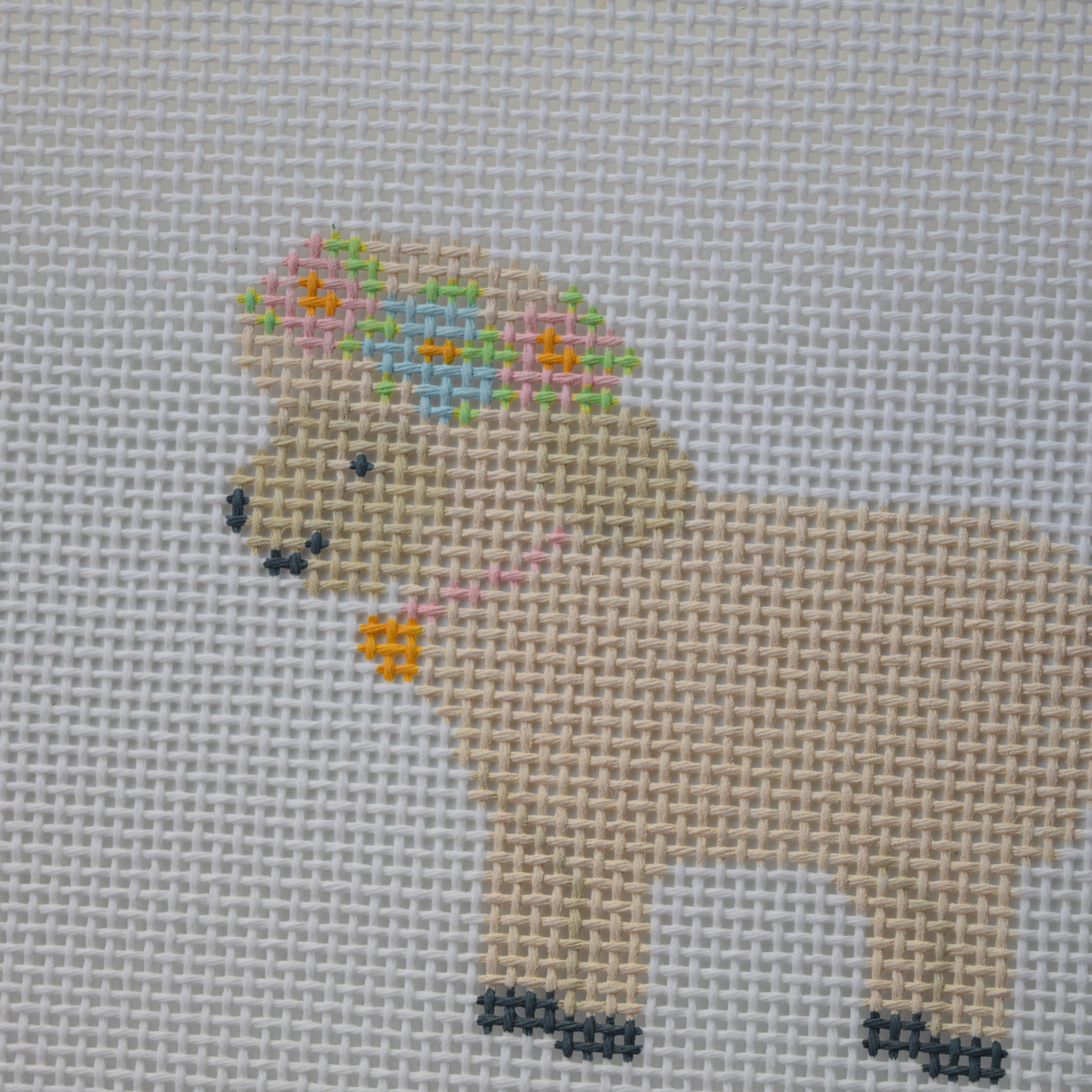 Sheep Canvas